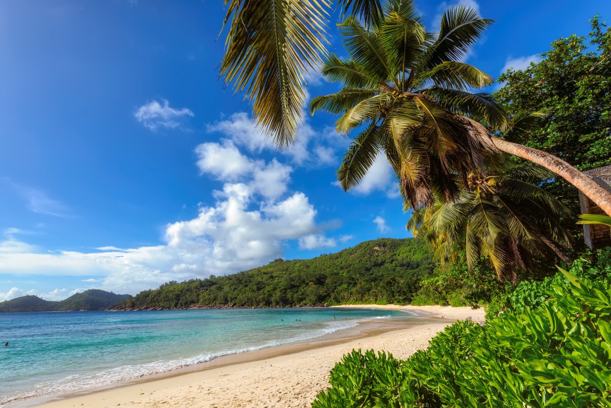 Seychelles luxury yacht sailing